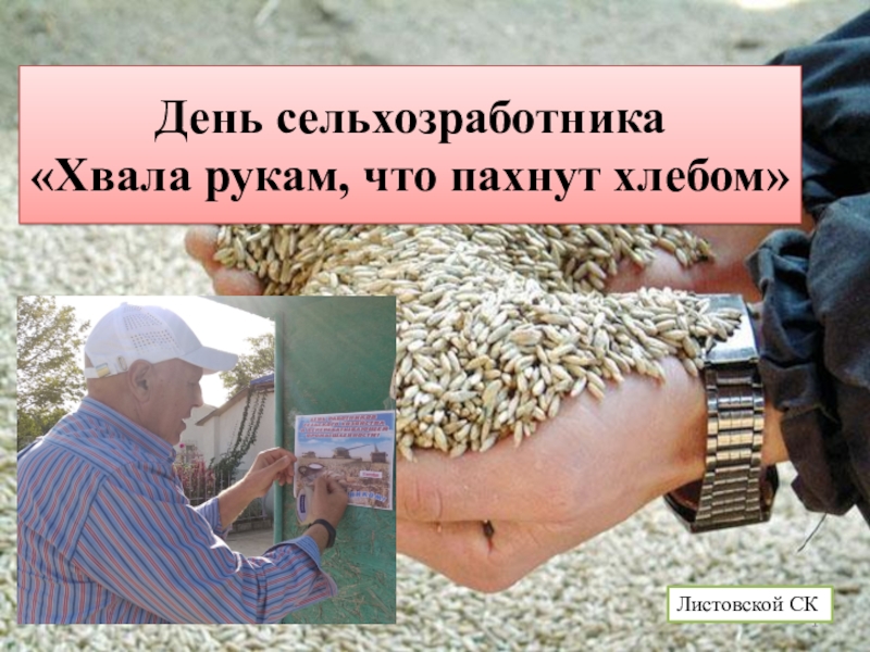 Презентация День сельхозработника  Хвала рукам, что пахнут хлебом