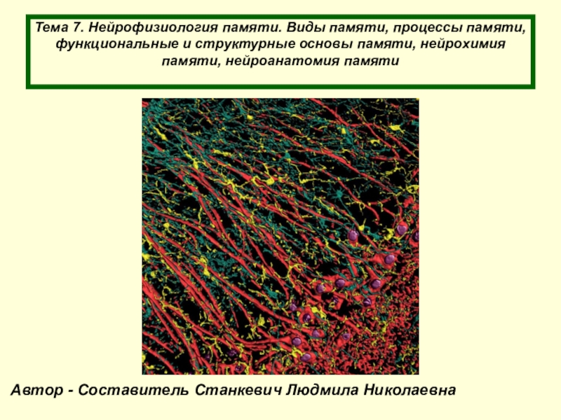 Тема 7. Нейрофизиология памяти. Виды памяти, процессы памяти, функциональные и