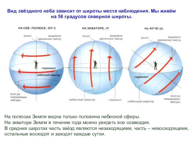 Нарисовать вид небесной сферы на северном полюсе