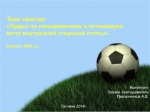 Тема занятия: Удары по неподвижному и катящемуся мячу внутренней стороной