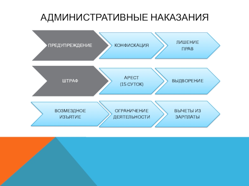 План на тему административная юрисдикция в рф план