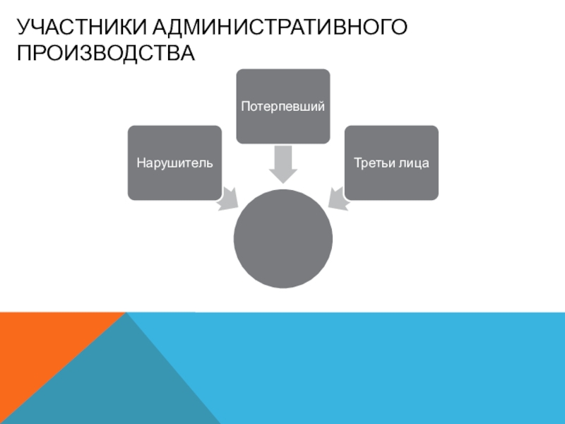 Административная юрисдикция картинки для презентации