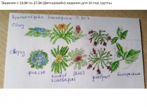 Задания с 13.04 по 27.04 ( фитодизайн ) задания для 1й под группы