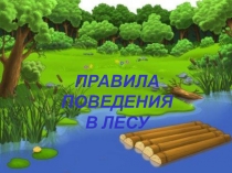 Правила поведения
в лесу