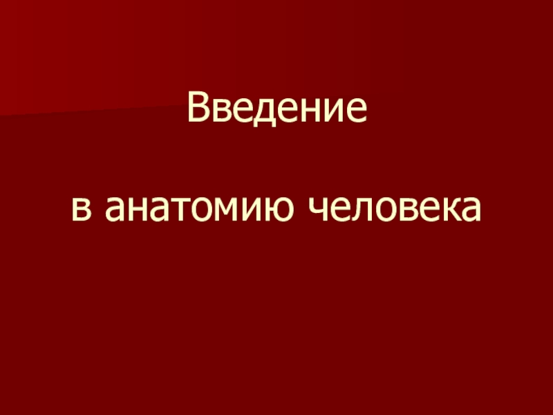 Введение в анатомию человека