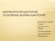 Морфология бактерий. Основные формы бактерий