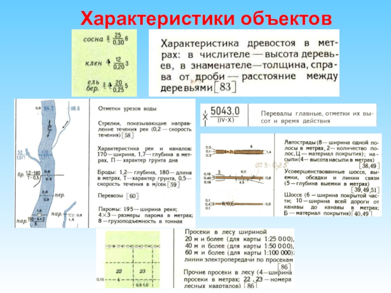 Характеристики карт. Характеристика топографических карт. Основные характеристики топографической карты. Скорость течения реки на топографических картах. Дать определение топографический план.