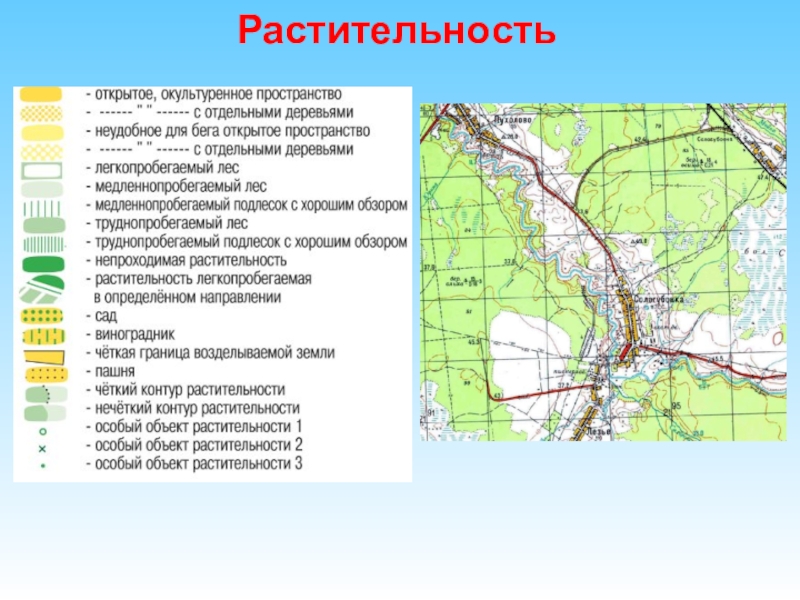 Карта растительности свердловской области