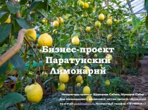 Бизнес-проект Паратунский Лимонарий
