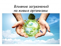 Влияние загрязнений
на живые организмы
