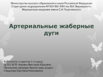 А ртериальные жаберные дуги
