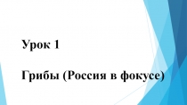 Урок 1
Грибы (Россия в фокусе)