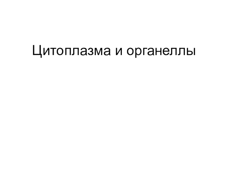 Презентация Цитоплазма и органеллы