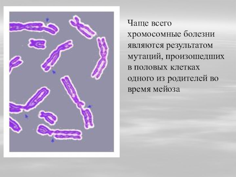 Мутации происходящие в половых клетках называются. Мутации происходящие в клетках называются. Как называют мутацию, произошедшую в половой клетке?.