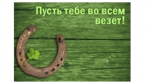 Биология 11 класс