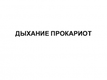 ДЫХАНИЕ ПРОКАРИОТ