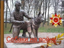 СОБАКА