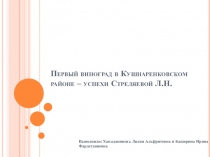 Первый виноград в Кушнаренковском районе – успехи Стреляевой Л.Н