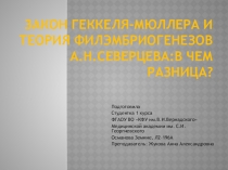 Закон Геккеля-Мюллера и теория филэмбриогенезов А.Н.Северцева:в чем разница?
