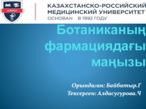 Ботаниканың фармациядағы маңызы