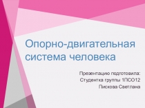Опорно-двигательная система человека
