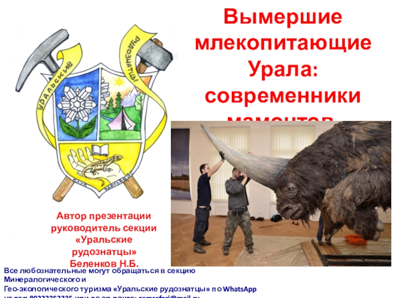 Презентация Вымершие млекопитающие Урала: современники мамонтов