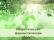 Неарктическая фаунистическая область