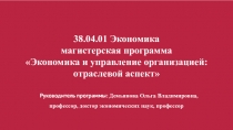 38.04.01 Экономика магистерская программа Экономика и управление организацией: