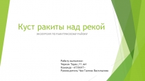 Куст ракиты над рекой