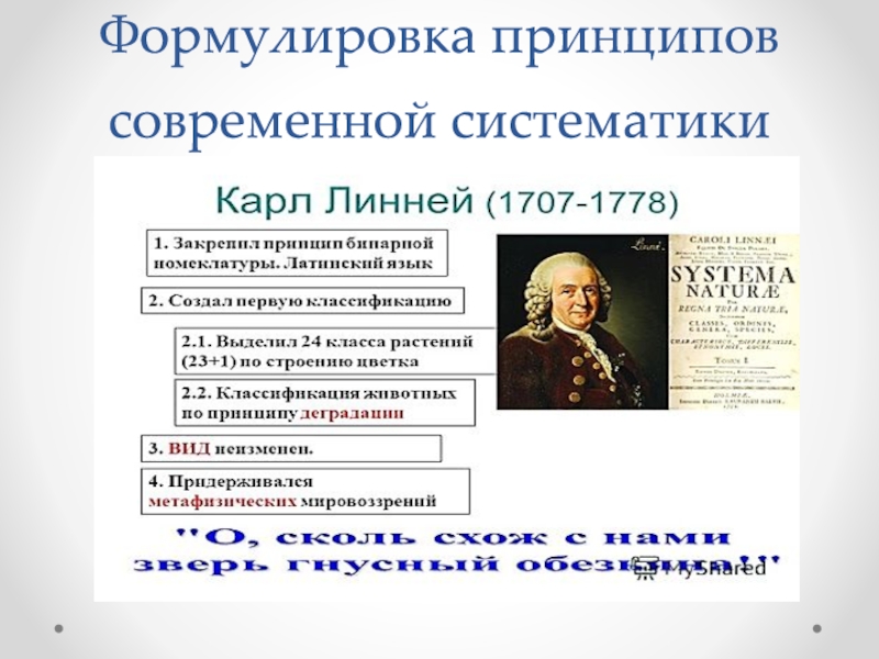 Сформулировать принцип. Принципы современной систематики. Формулировка современной систематики. Формулировка принципов современной систематики год. Год формулировки принципов современной систематики (к. Линней).