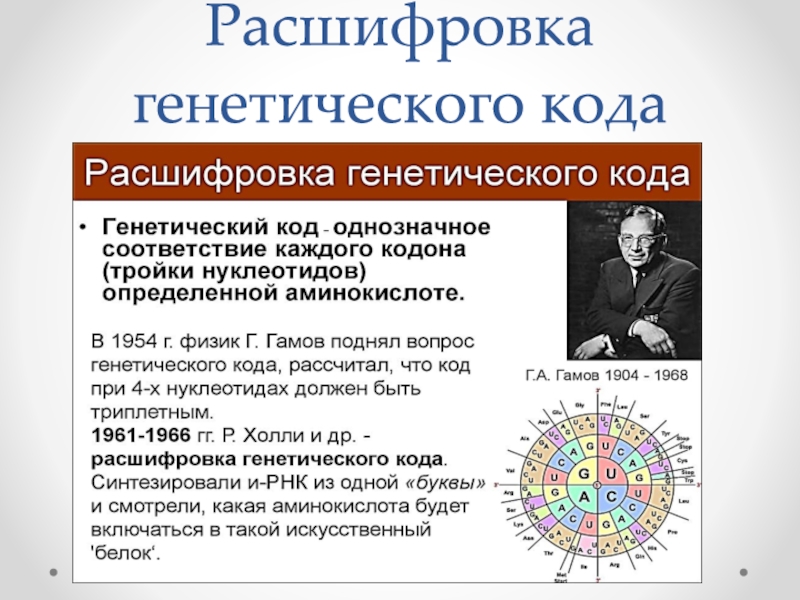 Схема расшифровка генетической информации