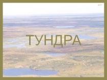 ТУНДРА