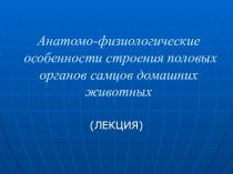 Анатомо-физиологические особенности строения половых органов самцов домашних