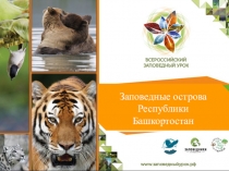 Заповедные острова Республики Башкортостан