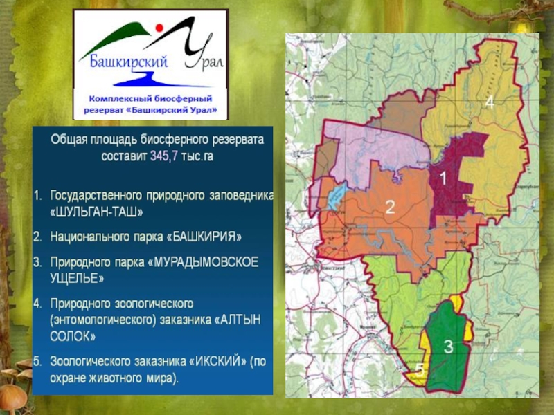 Национальный парк башкирия презентация