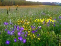 Своя игра