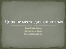 Цирк не место для животных