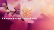 Консервирование плодов и ягод