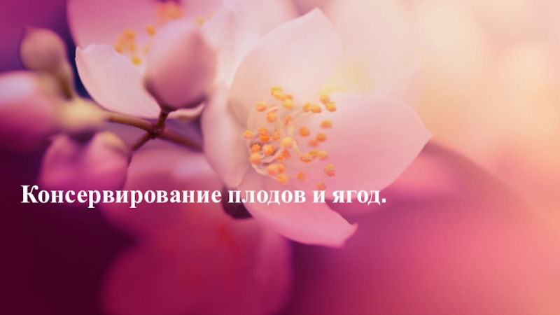 Консервирование плодов и ягод