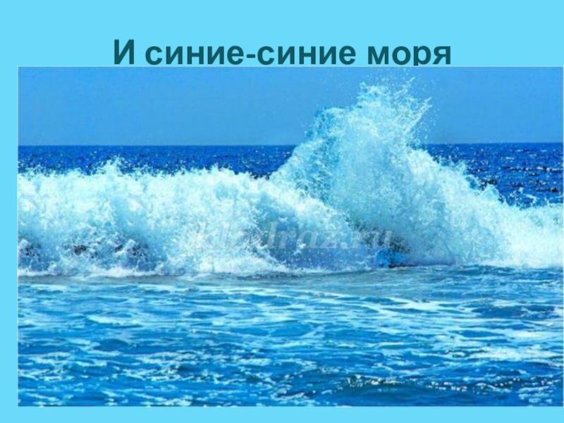 Море веб. Море синее сообщение. The Sea.