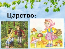 Царство: Грибы