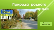 Природа родного города