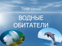 Тема урока: