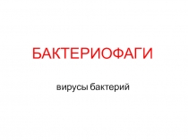 БАКТЕРИОФАГИ