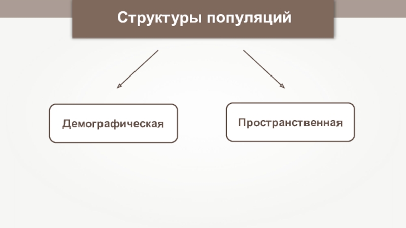 Структура популяций презентация 9 класс пасечник линия жизни