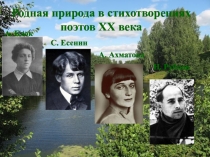 Родная природа в стихотворениях поэтов XX века