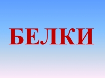 БЕЛКИ