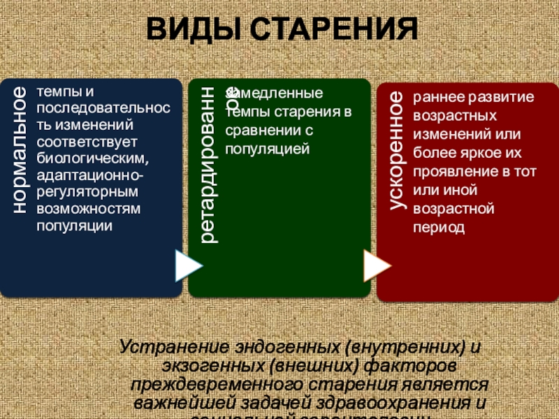 Виды старости. Виды старения. Виды старости и старения. Виды старения в геронтологии.