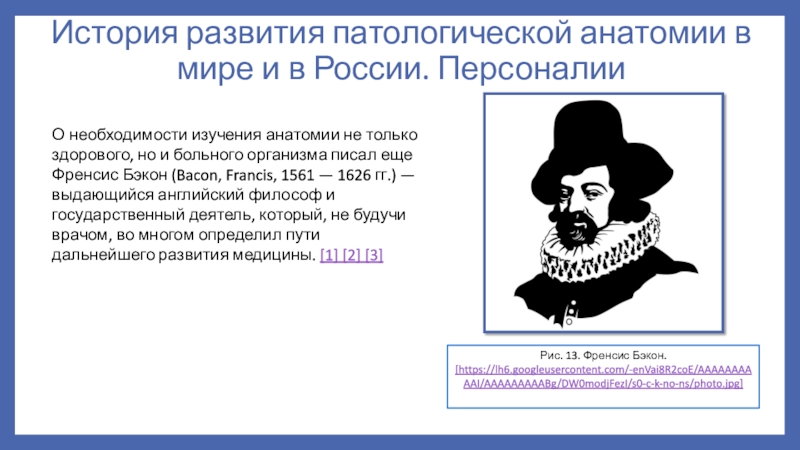 История развития патологической анатомии презентация