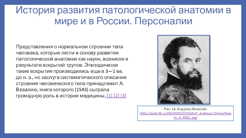 История развития патологической анатомии презентация